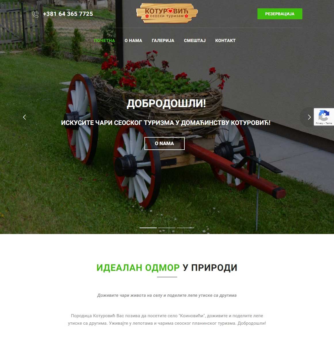 koturovic-portfolio-1